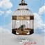 پوستر شماره 12